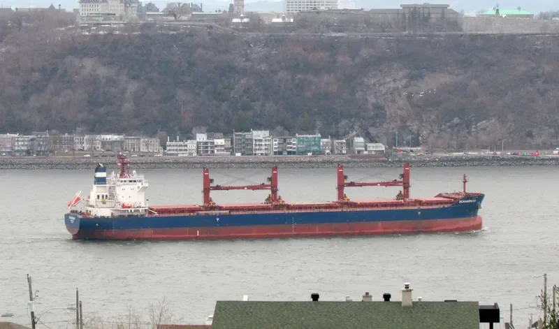 SEAHARMONY Bulk Carrier IMO 9688635 photo 8