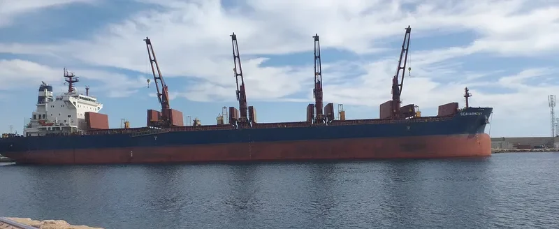 SEAHARMONY Bulk Carrier IMO 9688635 photo 9