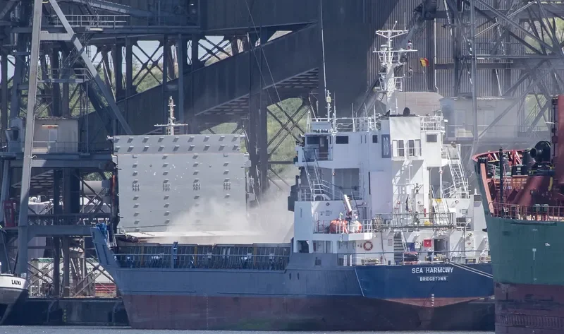 SEAHARMONY Bulk Carrier IMO 9688635 photo 10