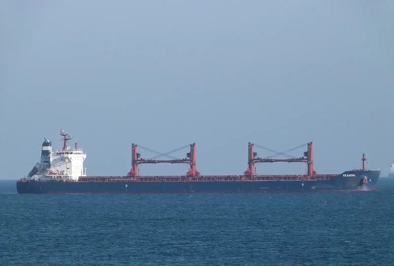 SEABONI Bulk Carrier IMO 9688647