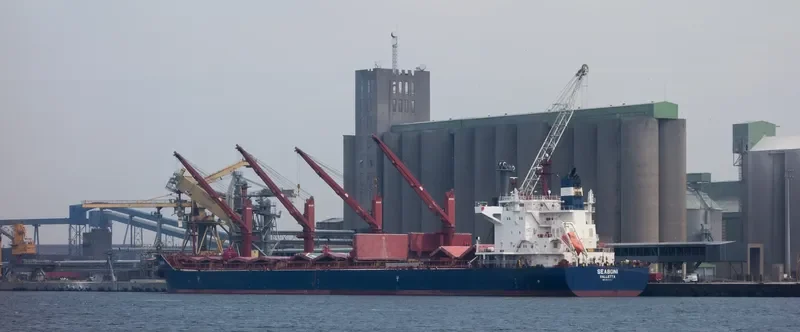 SEABONI Bulk Carrier IMO 9688647 photo 2