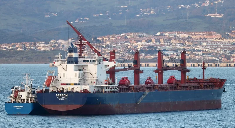 SEABONI Bulk Carrier IMO 9688647 photo 3
