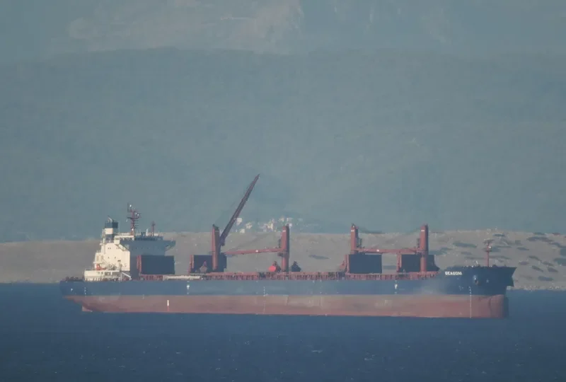 SEABONI Bulk Carrier IMO 9688647 photo 4
