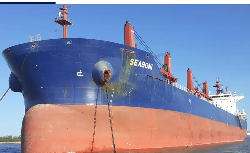 SEABONI Bulk Carrier IMO 9688647 photo 6