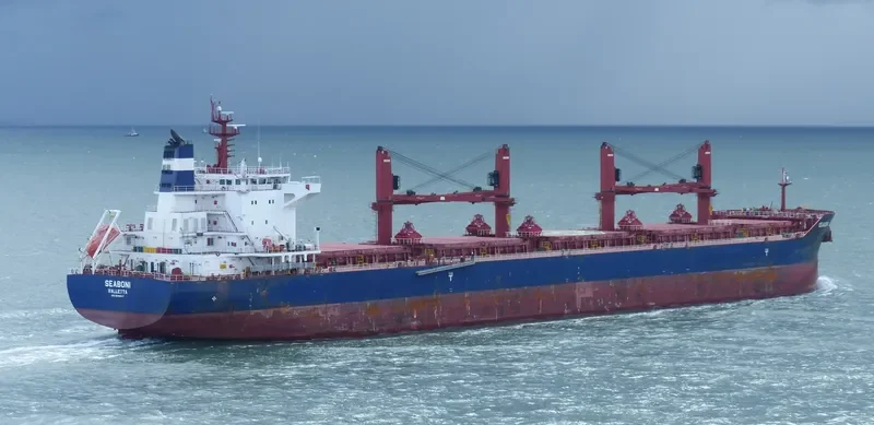 SEABONI Bulk Carrier IMO 9688647 photo 8