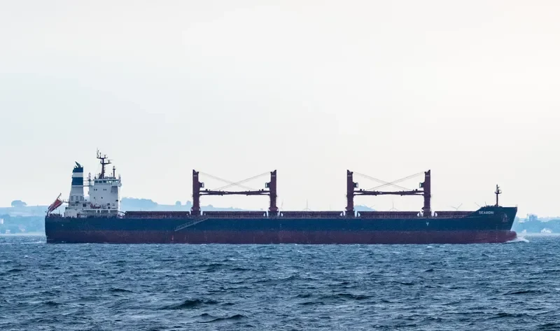 SEABONI Bulk Carrier IMO 9688647 photo 9
