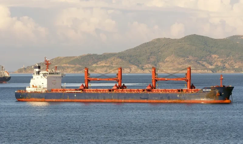SEABONI Bulk Carrier IMO 9688647 photo 10