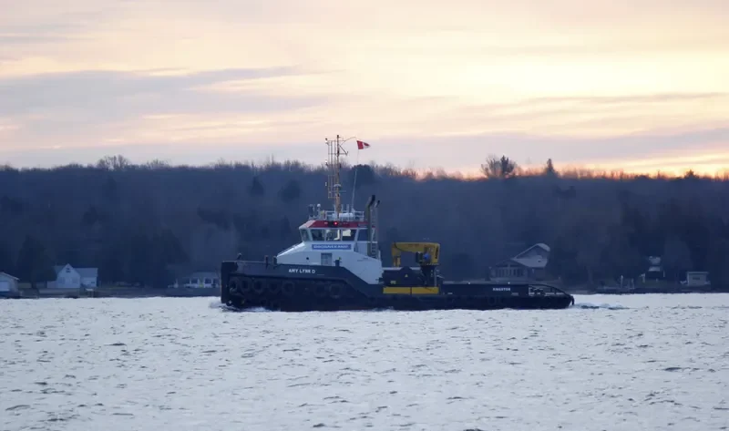 AMY LYNN D General Cargo IMO 9688659 photo 8