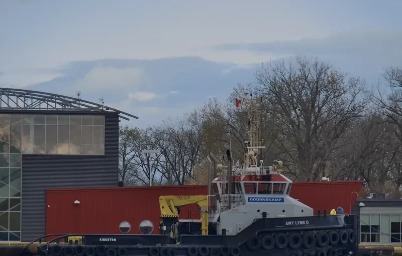 AMY LYNN D General Cargo IMO 9688659 photo 10