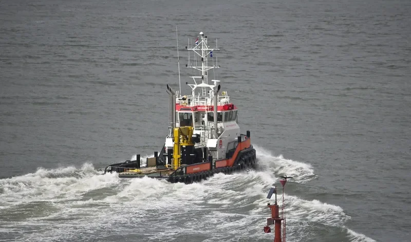 DMS PARROT General Cargo IMO 9688661 photo 4