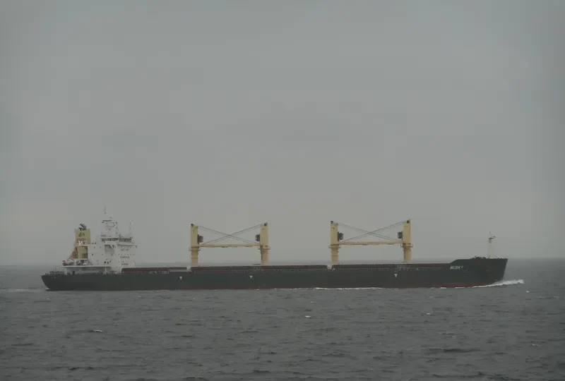 MUSKY Bulk Carrier IMO 9688855