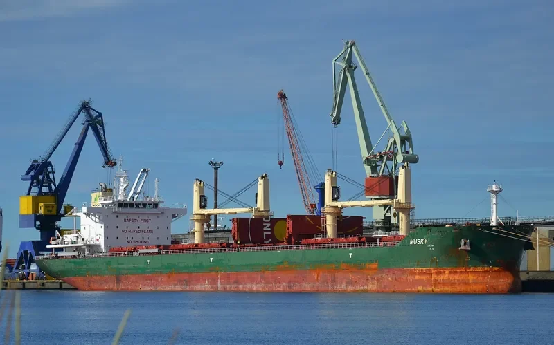 MUSKY Bulk Carrier IMO 9688855 photo 2