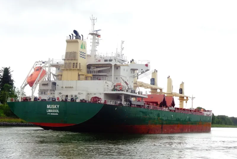 MUSKY Bulk Carrier IMO 9688855 photo 3