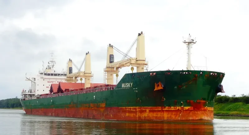 MUSKY Bulk Carrier IMO 9688855 photo 4