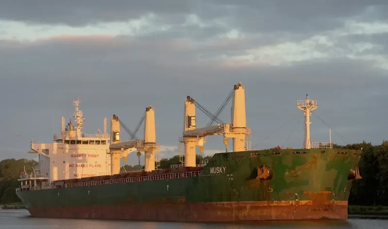 MUSKY Bulk Carrier IMO 9688855 photo 5