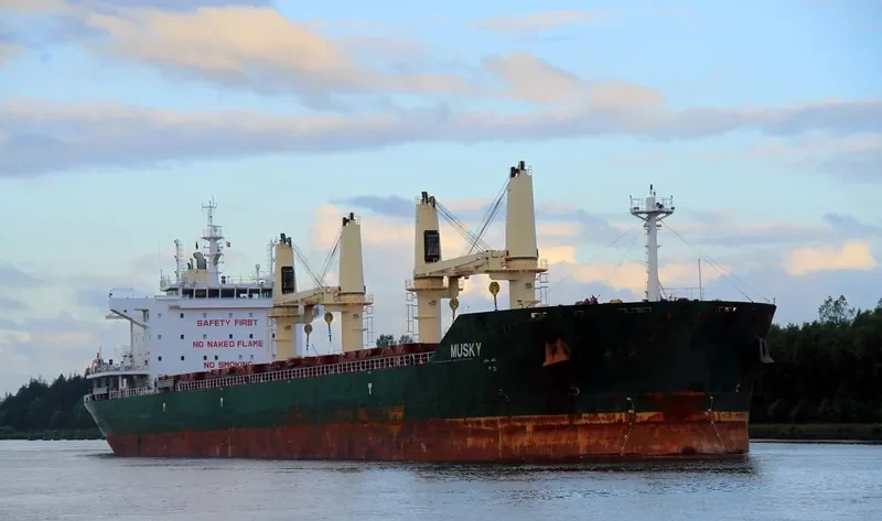 MUSKY Bulk Carrier IMO 9688855 photo 7
