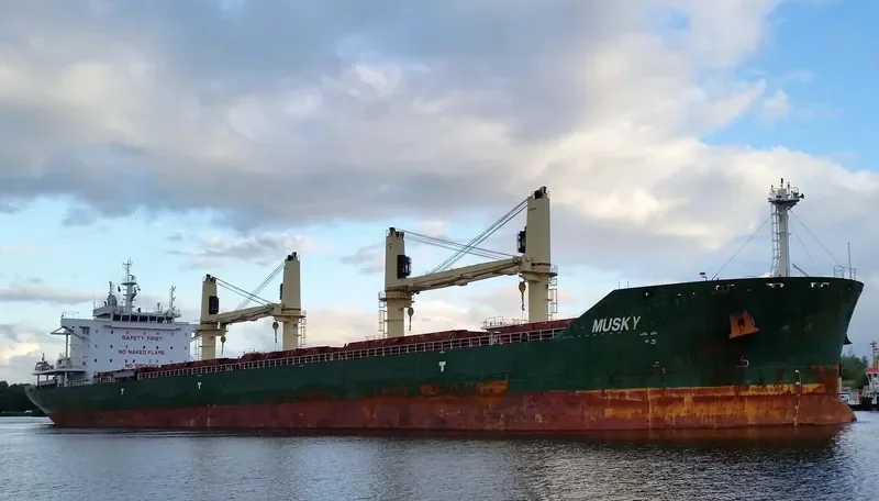 MUSKY Bulk Carrier IMO 9688855 photo 9