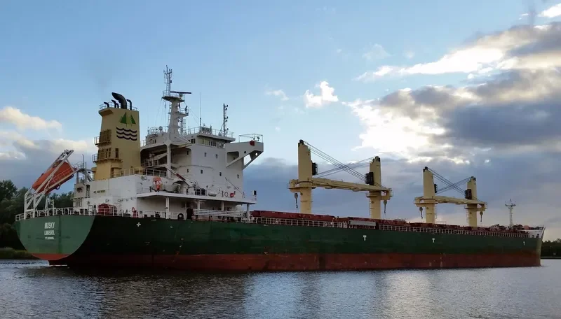 MUSKY Bulk Carrier IMO 9688855 photo 10