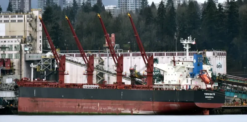 GENCO WEATHERLY Bulk Carrier IMO 9689172 photo 2