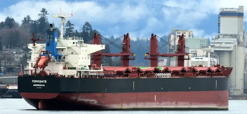 GENCO WEATHERLY Bulk Carrier IMO 9689172 photo 3
