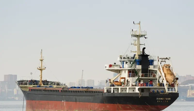 XIANG YUAN Bulk Carrier IMO 9689550 photo 6