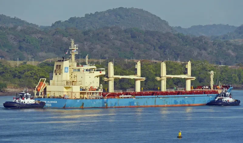 TANIA Bulk Carrier IMO 9689562 photo 4