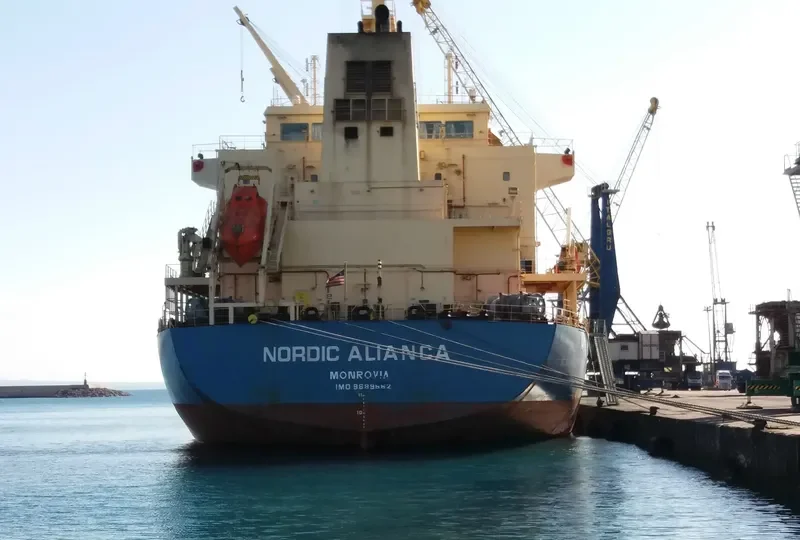 TANIA Bulk Carrier IMO 9689562 photo 5