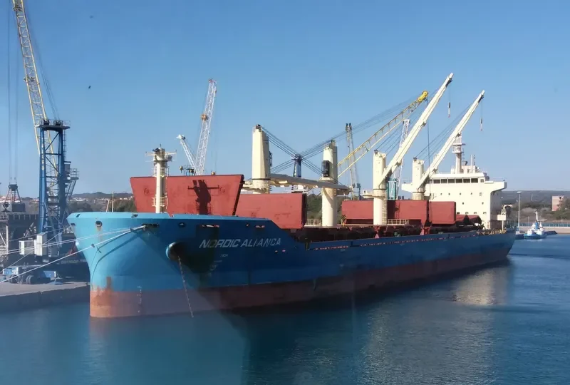 TANIA Bulk Carrier IMO 9689562 photo 6