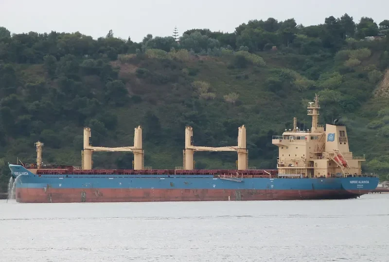 TANIA Bulk Carrier IMO 9689562 photo 8