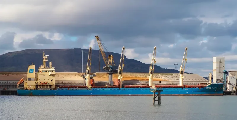 NORDIC NAVID Bulk Carrier IMO 9689574
