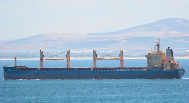 NORDIC NAVID Bulk Carrier IMO 9689574 photo 3