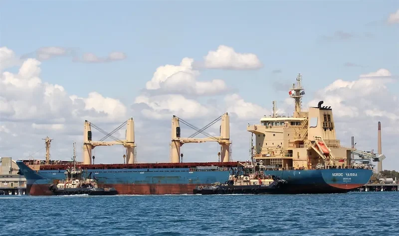 NORDIC NAVID Bulk Carrier IMO 9689574 photo 4