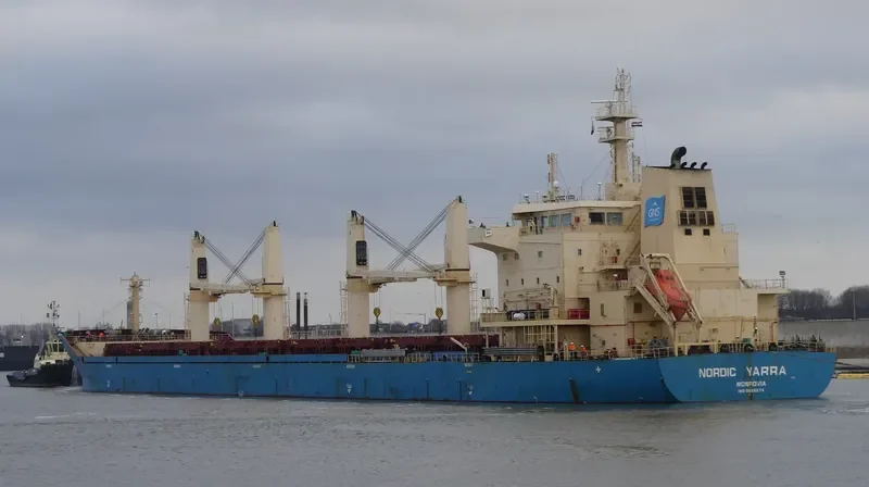 NORDIC NAVID Bulk Carrier IMO 9689574 photo 9