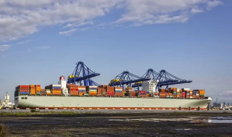 MANHATTAN BRIDGE Container Ship IMO 9689615 photo 2