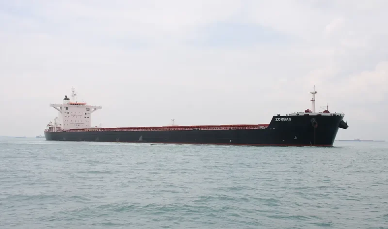 ZORBAS Bulk Carrier IMO 9689677 photo 2
