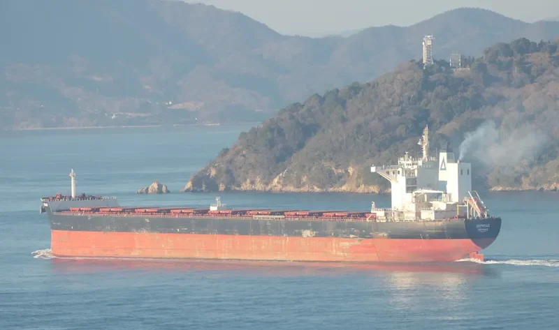 ZORBAS Bulk Carrier IMO 9689677 photo 4