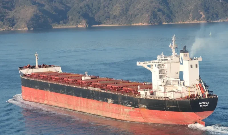 ZORBAS Bulk Carrier IMO 9689677 photo 7