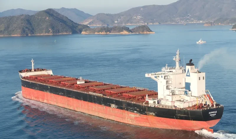 ZORBAS Bulk Carrier IMO 9689677 photo 8