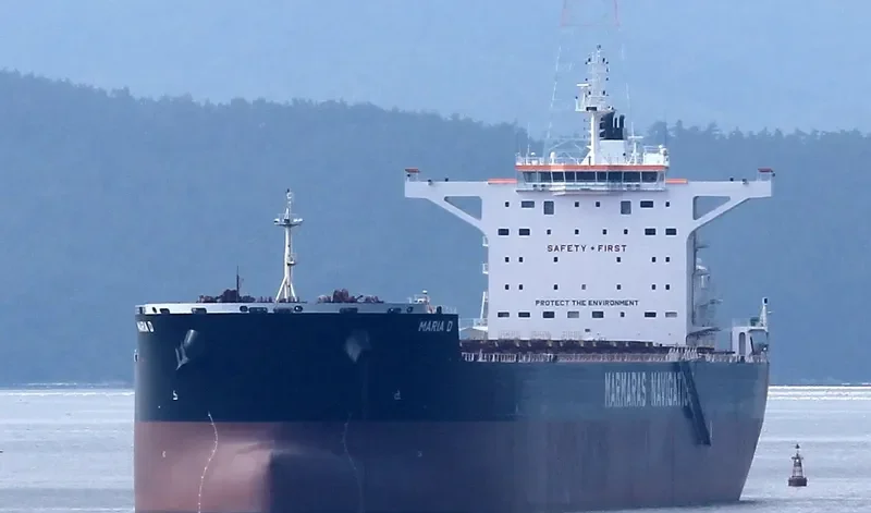 MARIA D Bulk Carrier IMO 9689689 photo 2