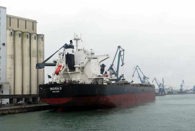 MARIA D Bulk Carrier IMO 9689689 photo 8