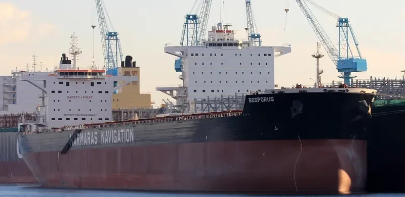 BOSPORUS Bulk Carrier IMO 9689691 photo 2