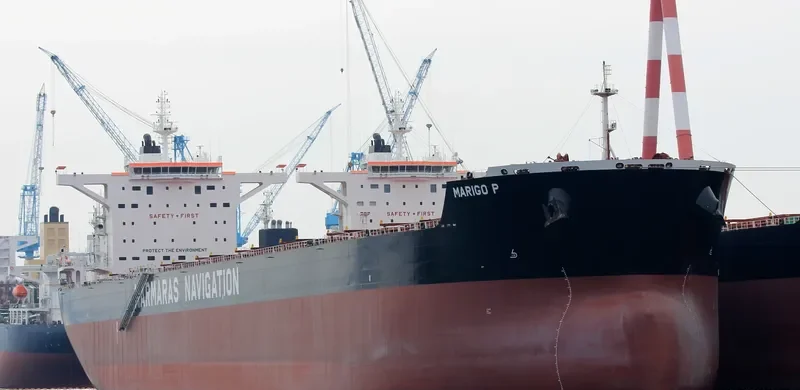 MARIGO P Bulk Carrier IMO 9689706