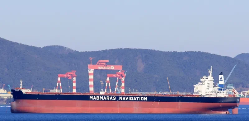 MARIGO P Bulk Carrier IMO 9689706 photo 2