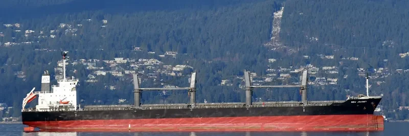 NEW JOURNEY Bulk Carrier IMO 9689794