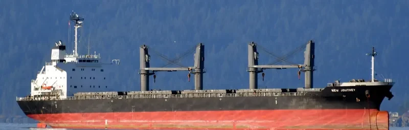 NEW JOURNEY Bulk Carrier IMO 9689794 photo 2