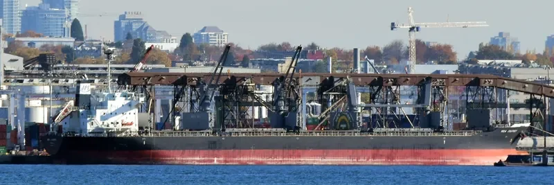 NEW JOURNEY Bulk Carrier IMO 9689794 photo 3