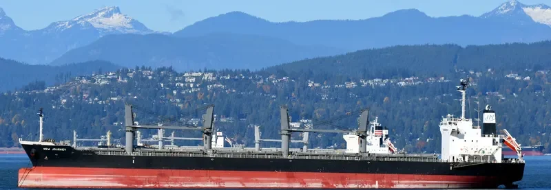 NEW JOURNEY Bulk Carrier IMO 9689794 photo 4
