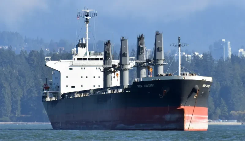 NEW JOURNEY Bulk Carrier IMO 9689794 photo 5
