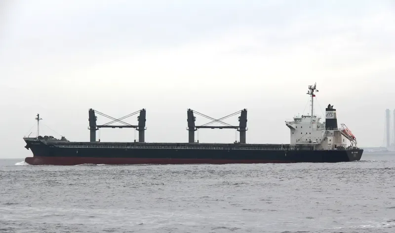 NEW JOURNEY Bulk Carrier IMO 9689794 photo 6