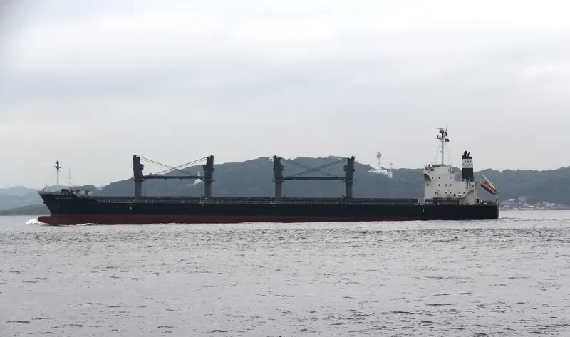 NEW JOURNEY Bulk Carrier IMO 9689794 photo 7